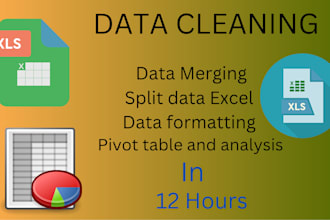 clean, format, merge, split excel data