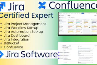 setup your project management software and do project management for you company