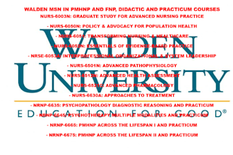walden msn both  pmhnp and fnp, I handle both ditactic and practicum courses