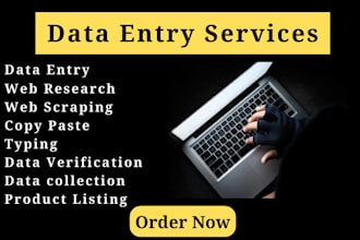 do data entry, web research, copy paste