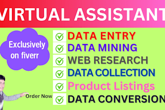 be your professional visual assistant