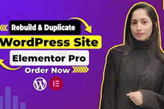 replicate, revamp, duplicate, copy, rebuild wordpress website with elementor pro
