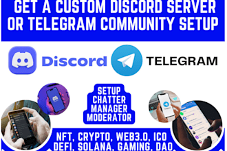 set up a functioning new and existing discord server within 12 hours