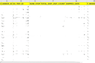 oracle ebs, otm erp solutions and custom reports