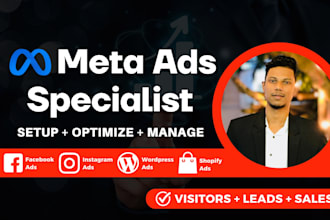 setup and manage your meta ads campaign and instagram ads