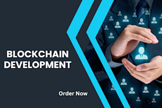 do professional blockchain development
