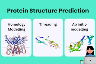 do protein structure prediction and validation
