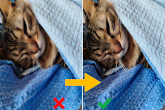 professionally upscale and enhance your low quality photos