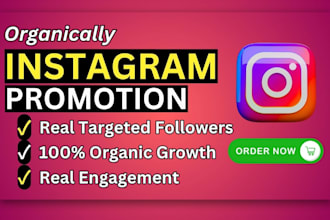 professionally grow your instagram account