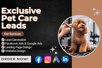 pet care leads pet grooming dog grooming leads pet sitting lead pet care website