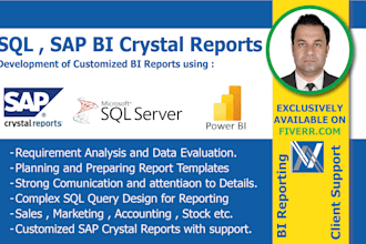 do development of sql sap bi reporting , dashboards