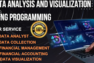 be your data analyst and will do financial management and web development