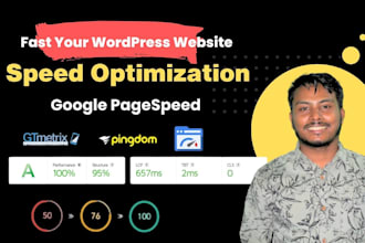 do wordpress speed optimization for google pagespeed insights