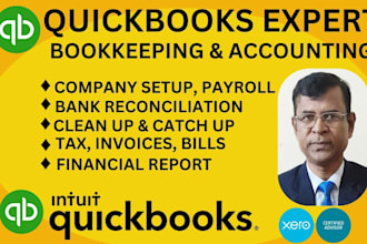 do bookkeeping, set up, clean up, and reconciliation using quickbooks online