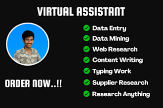 205 virtual assistant data entry webresearch writing content
