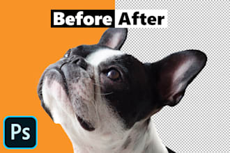 do photo background removal with white or transparent