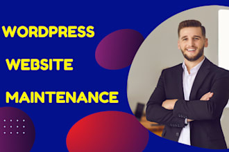 provide maintenance and support for your wordpress website