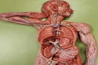 help in neurology,biology,anatomy, physiology histology