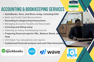 provide professional and expert bookkeeping using quickbooks, xero, wave, excel