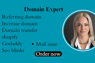 connect domain subdomain transfer domain fix email to shopify godaddy wix ionos