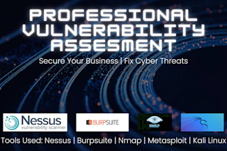 perform expert vulnerability scanning and risk analysis