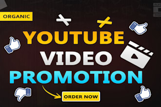 do super fast organic youtube video promotion