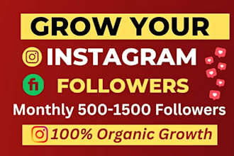 instagram promotion, manage, and instagram organic growth