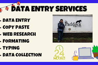 do data entry, web research, and admin support