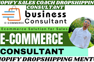 be your ecommerce consultant coach shopify virtual assistant mentor