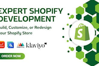 build a high converting shopify dropshipping store