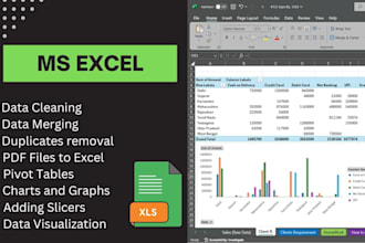 clean data, merge, convert PDF to excel, create charts and pivot tables in excel