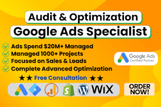 do google ads audit and optimization, search ads, PPC campaign as SEM specialist