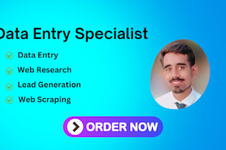 data entry,copy paste,real estate,web scraper and research