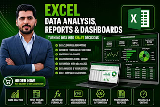 do professional excel data analysis