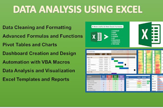 do professional excel data analysis
