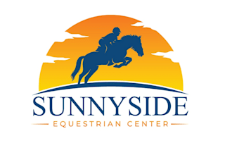 design a high quality horse logo