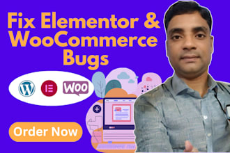 fix elementor or woocommerce bugs on your wordpress site