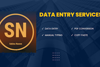 do data entry, file conversion, ms word, excel typing, retyping, copy paste job