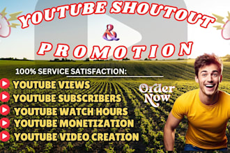 do USA youtube video promotion shoutout channel to 5m organic subscribers views