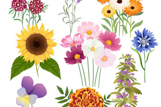 draw botanical illustrations of flowers, plants and fruits