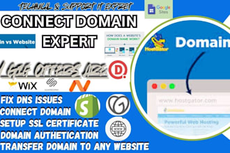 connect domain to godaddy, shopify, squarespace, wix, systeme io or dns