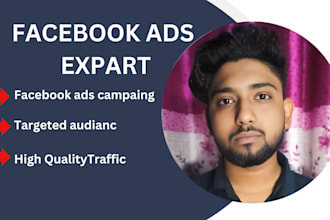 setup and manage facebook ads campaign, fb or meta ad manager