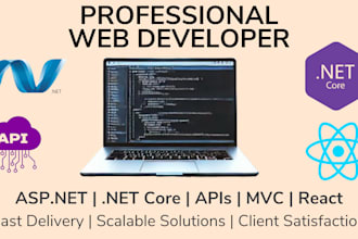 do web development in asp net, dot net core, apis, mvc, react