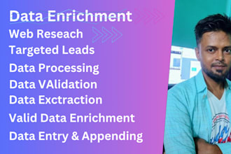 do  linkedin research, data entry, data appending enrichment