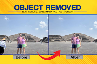 remove or add people, objects, text, or logo with precision
