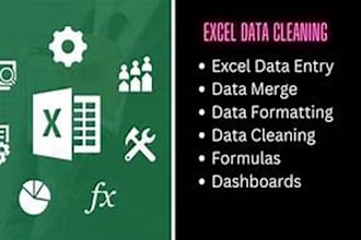 clean and format your excel data professionally