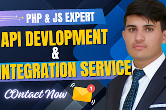 do API integration, api development, custom php laravel web api