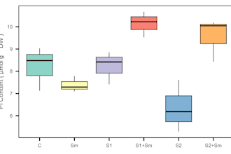 do stunning graphs using r programming