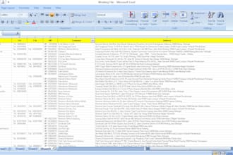 dedicated virtual assistant for all your business needs