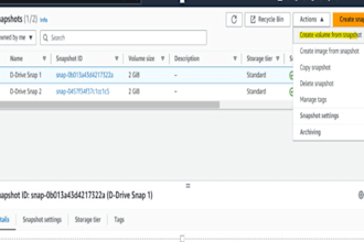 perform AWS cloud services deployment